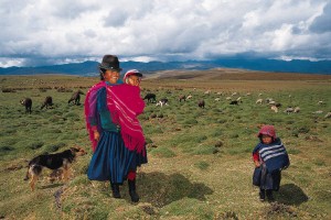 The Making of Sheeple