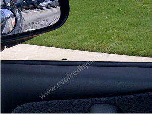 Ant on car door.